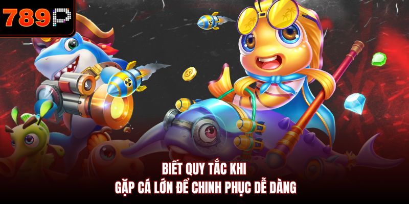 Biết quy tắc khi gặp cá lớn để chinh phục dễ dàng