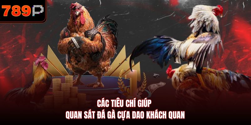 Các tiêu chí giúp quan sát đá gà cựa dao khách quan