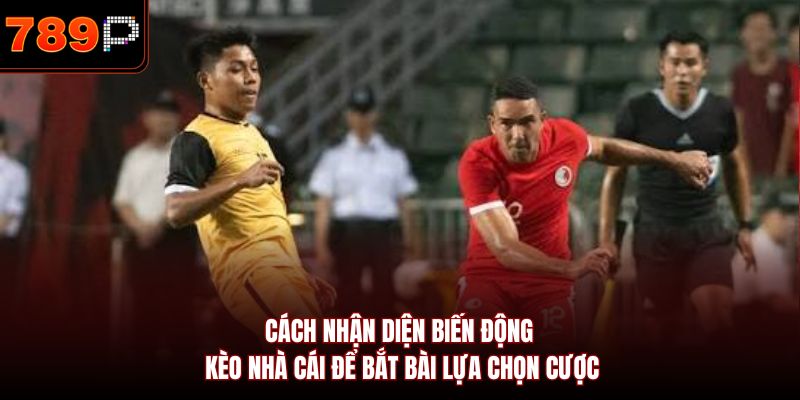Cách nhận diện biến động kèo nhà cái để bắt bài lựa chọn cược