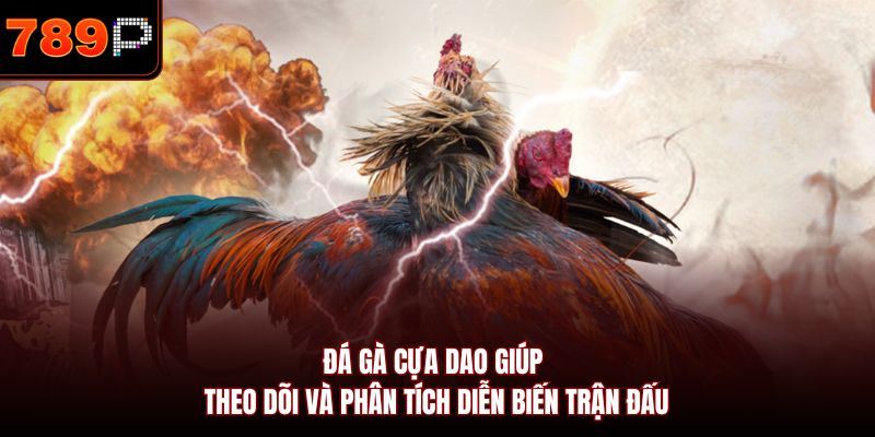 Đá gà cựa dao giúp theo dõi và phân tích diễn biến trận đấu