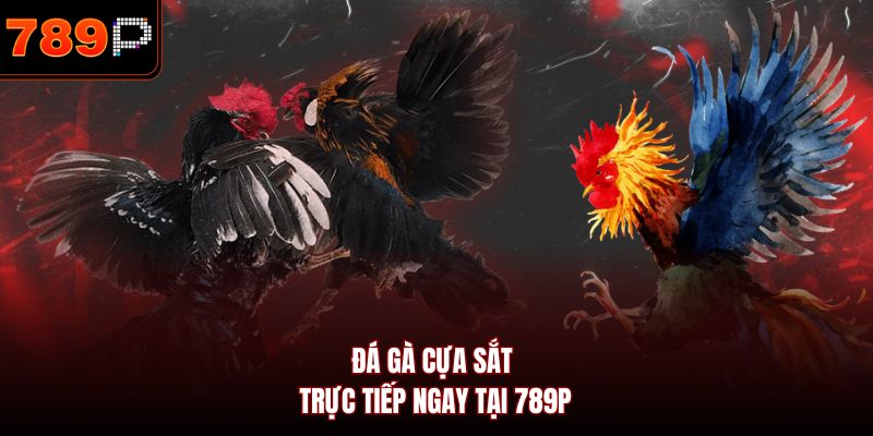 Đá gà cựa sắt trực tiếp ngay tại 789P